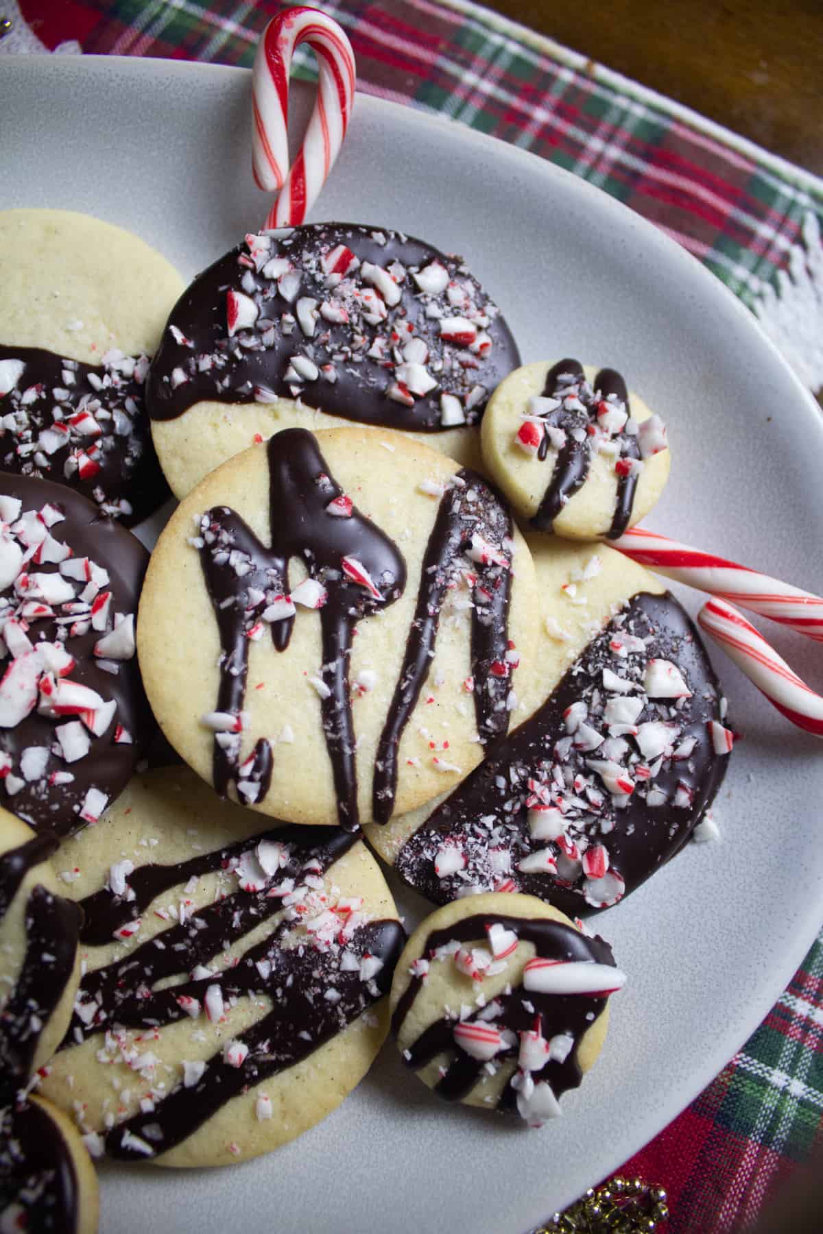 Dark chocolate drizzled over sugar cookie topped with peppermint
