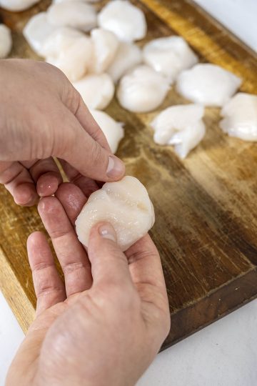 peeling muscle from scallop