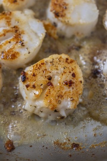 scallops flipped and seared