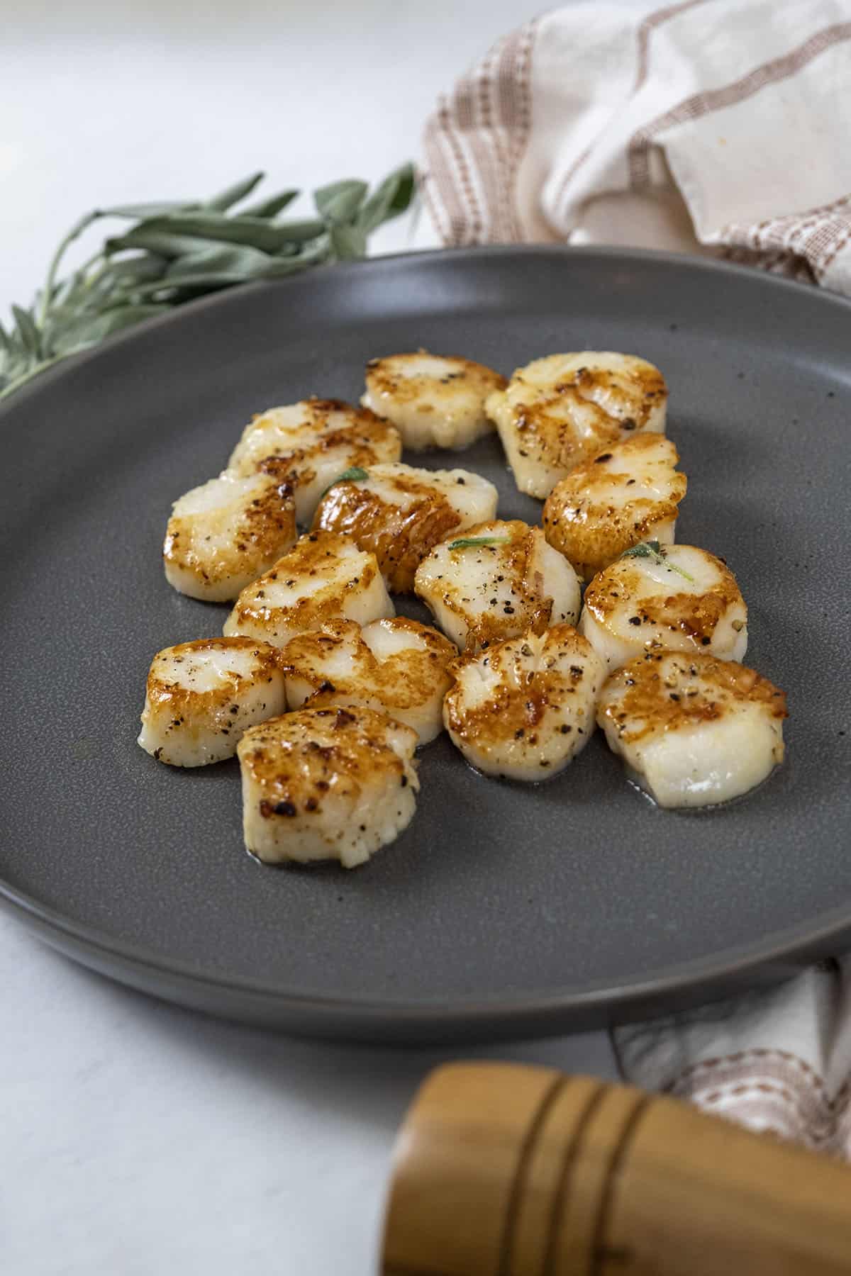 garlic sage seared scallops on a plate