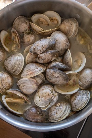simmering clams in a pot