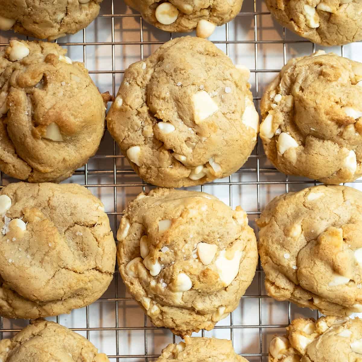 Chewy White Chocolate Macadamia Nut Cookies