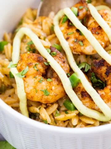 cast iron shrimp with orzo