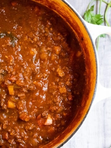 bison ragu