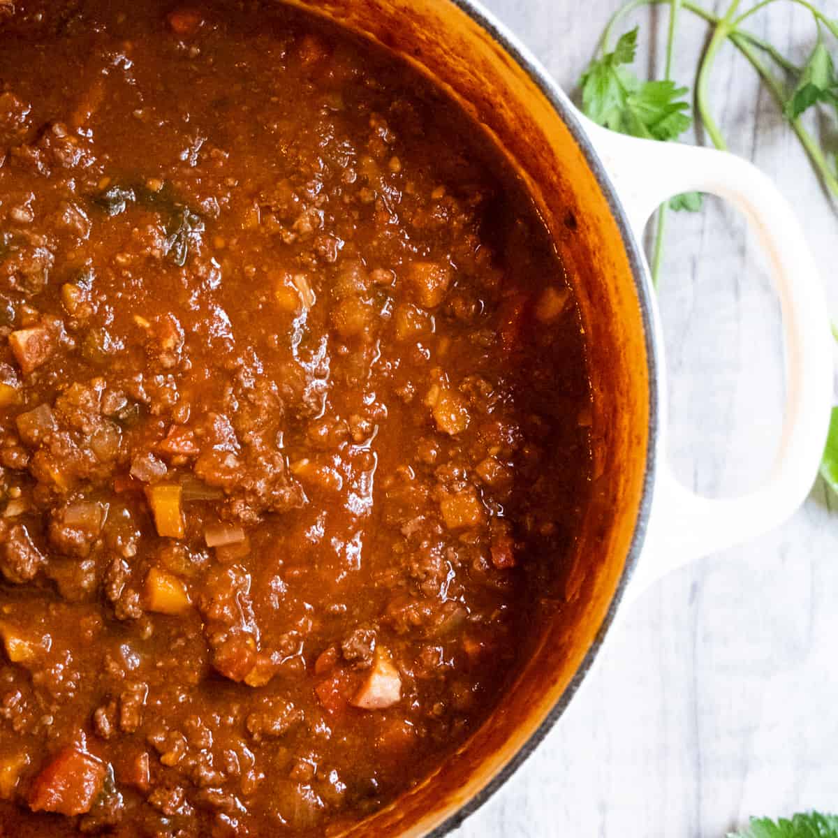 Bison Ragu