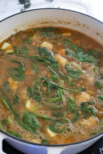 Spinach wilted in the lentil soup.