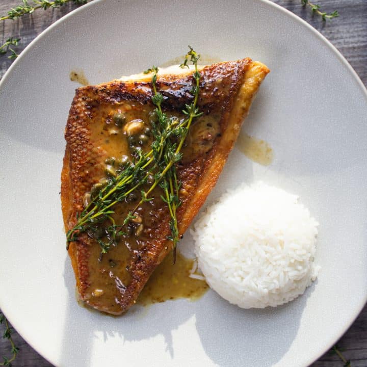 pan seared vermillion snapper