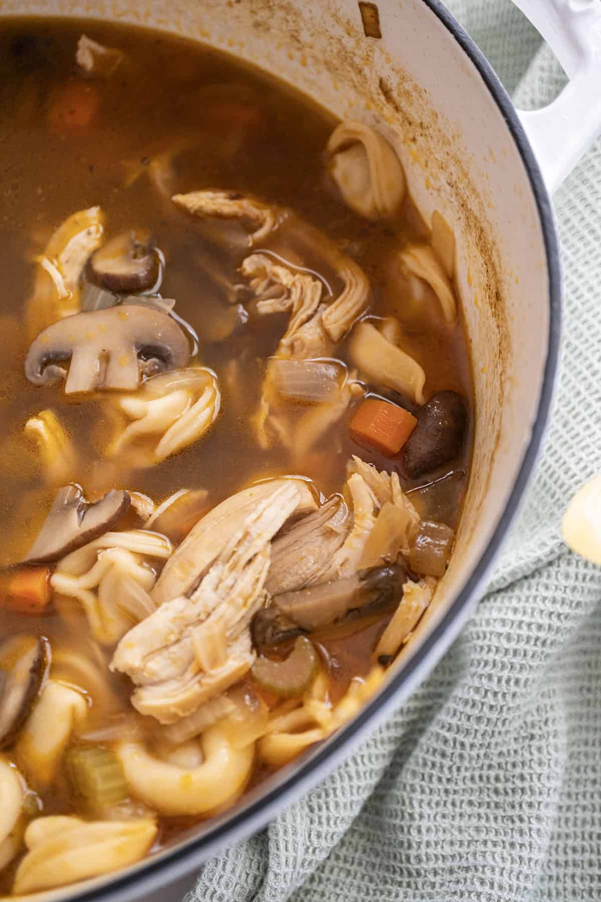 Pot of Chicken tortellini soup with mushrooms.