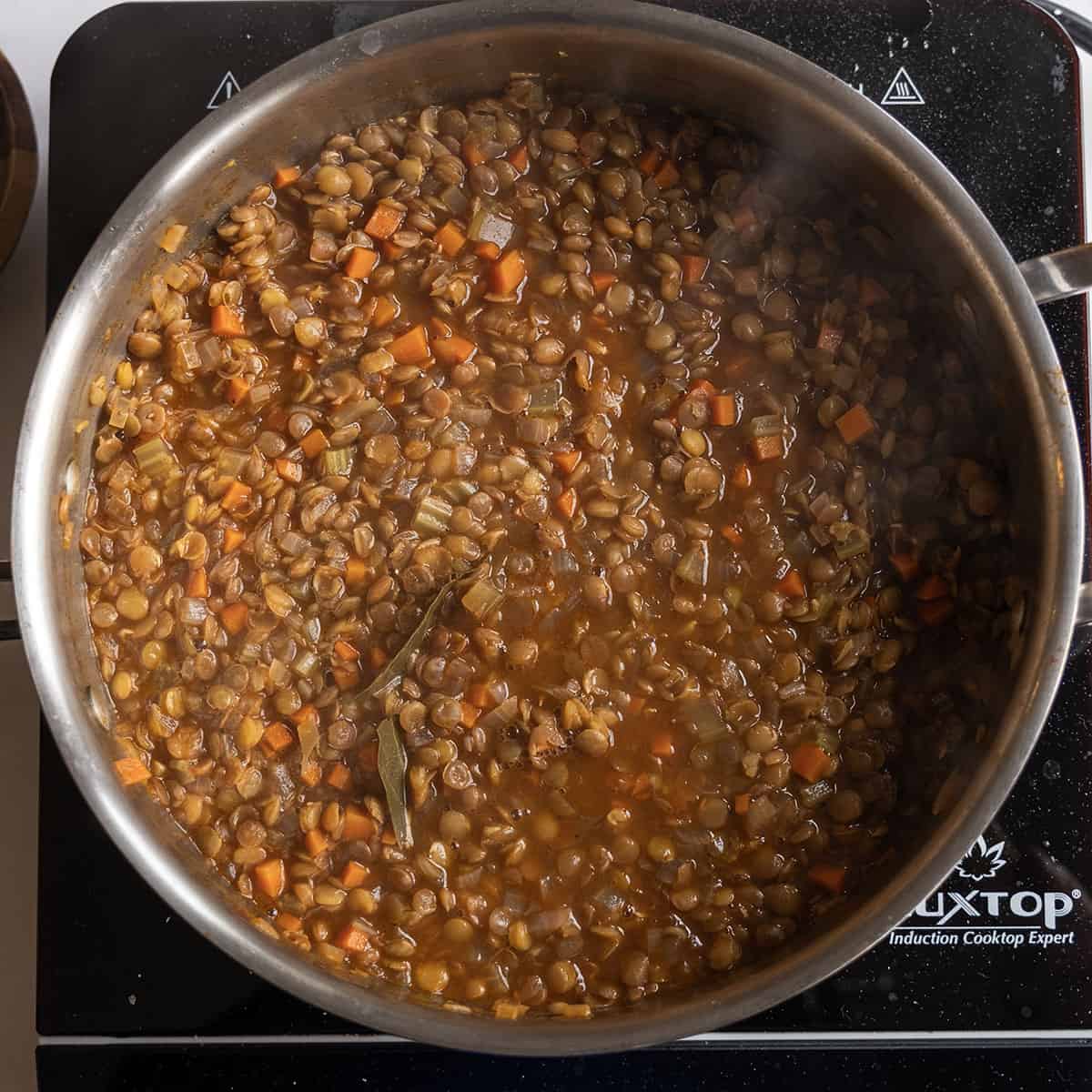Lentils simmered and softened in sauce pan.