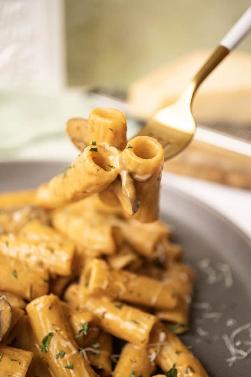Creamy mushroom pasta on a fork.