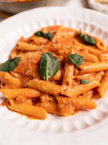 Plate of penne with vodka sauce.