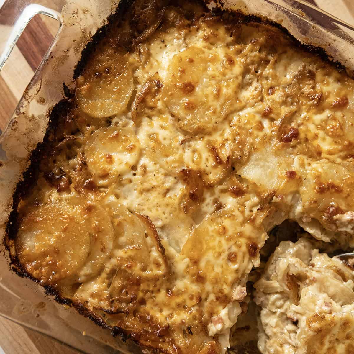 Fennel and Potato Au Gratin