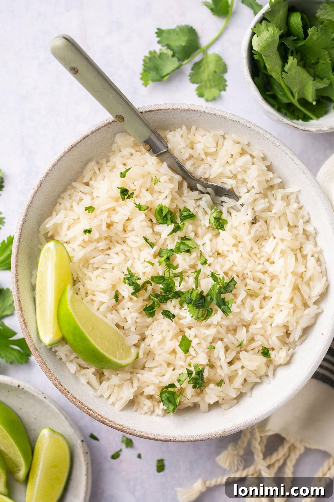 Fluffy and Fragrant Instant Pot Coconut Rice 2 a bowl of instant pot coconut rice topped with chopped cilantro and two lime wedges