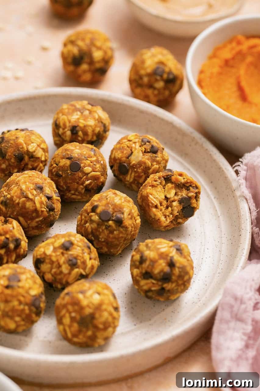 pumpkin oatmeal energy bites with chocolate chips on a white plate