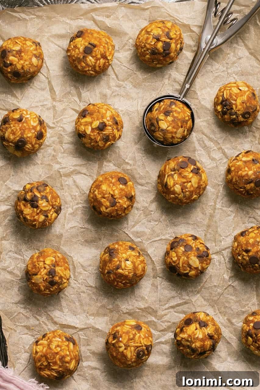 pumpkin pie bliss balls on a baking sheet with a cookie scoop