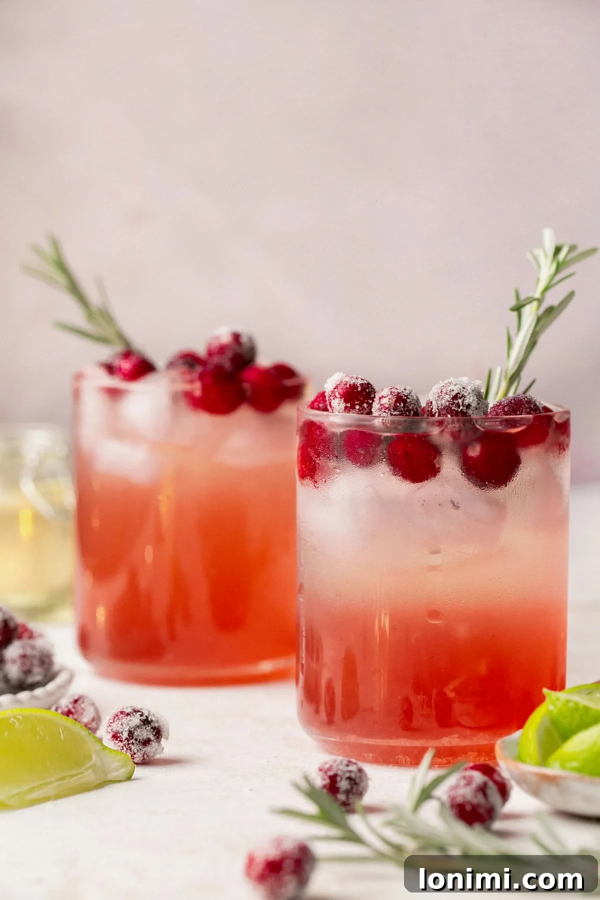 Up-close shot of two cranberry vodka cocktails topped with fresh cranberries and rosemary sprigs