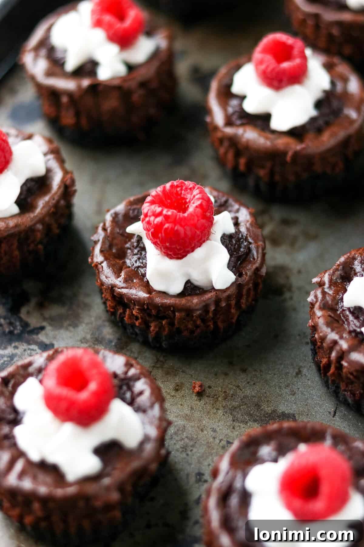 Effortless Chocolate Protein Cheesecake Bliss 6 five mini protein cheesecakes topped with whipped cream and a raspberry