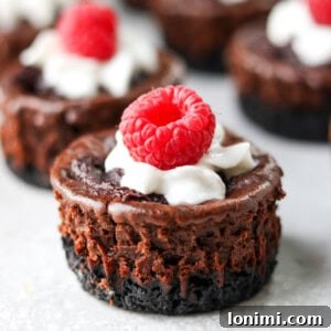 chocolate protein cheesecake with whipped cream and raspberries on top