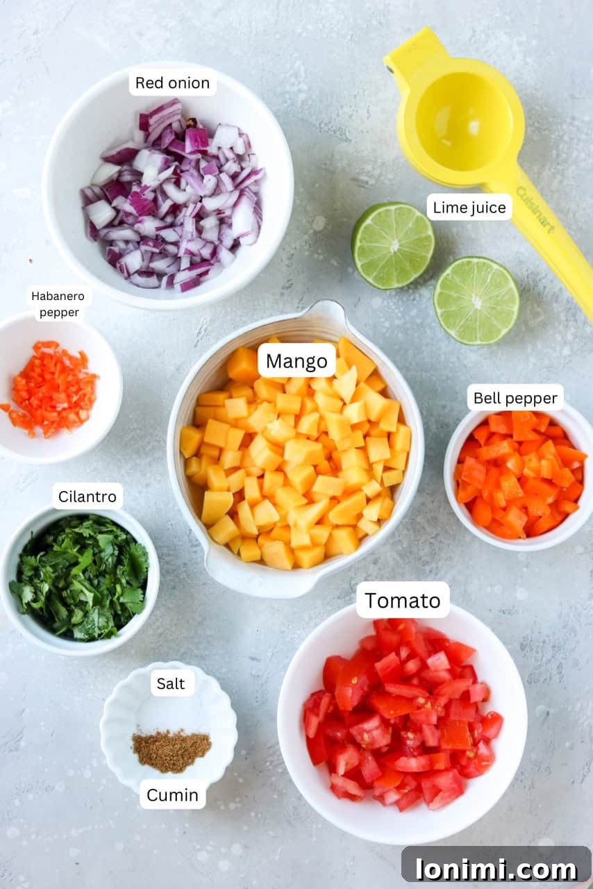 Irresistible Mango Habanero Salsa 3 A flat lay photograph showcasing individual ingredients for mango habanero salsa: a whole habanero pepper, sliced mango pieces, a ripe tomato, diced red onion, fresh cilantro leaves, a bright orange bell pepper, and a freshly cut lime, arranged in small bowls.