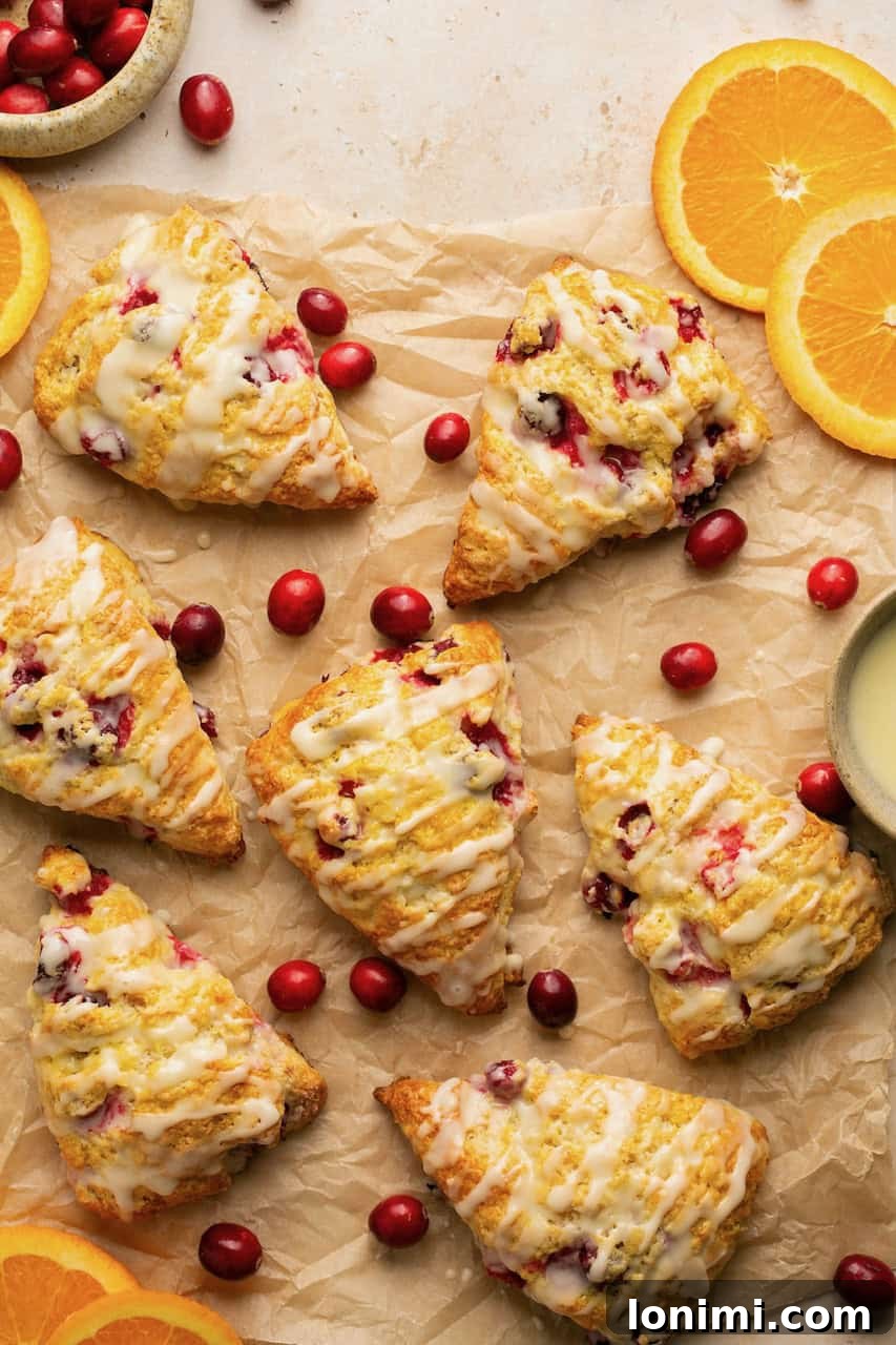Seven gluten-free orange cranberry scones arranged on parchment paper.
