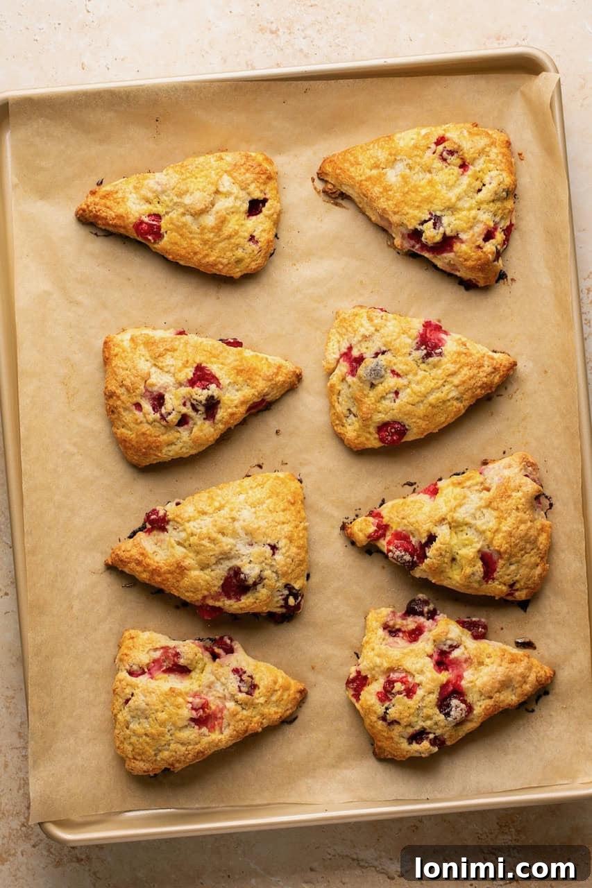 Baked gluten-free orange cranberry scones cooling on a baking sheet.