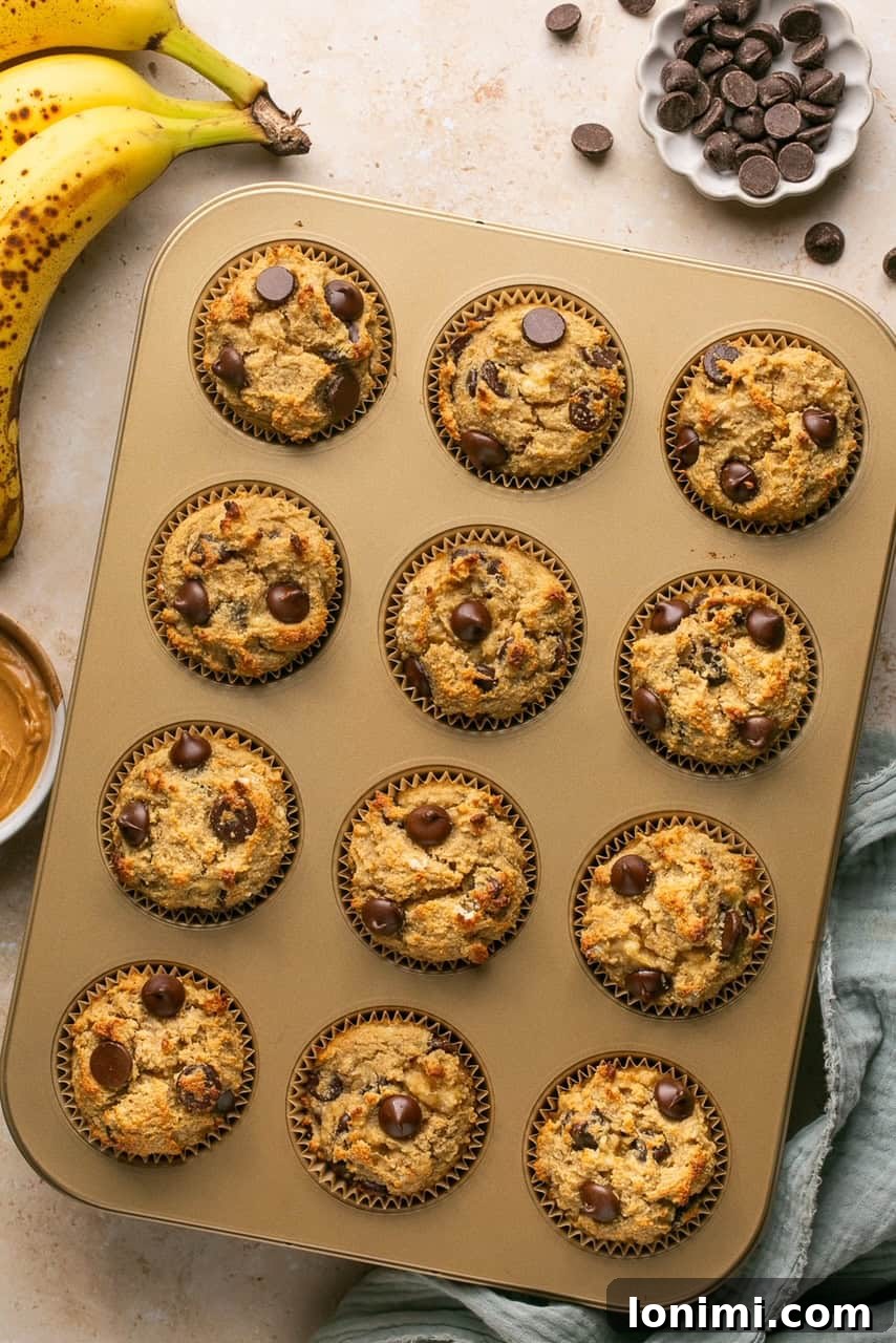 12 muffins in a gold pan with bananas and chocolate chips around the pan, presenting a bountiful baked batch