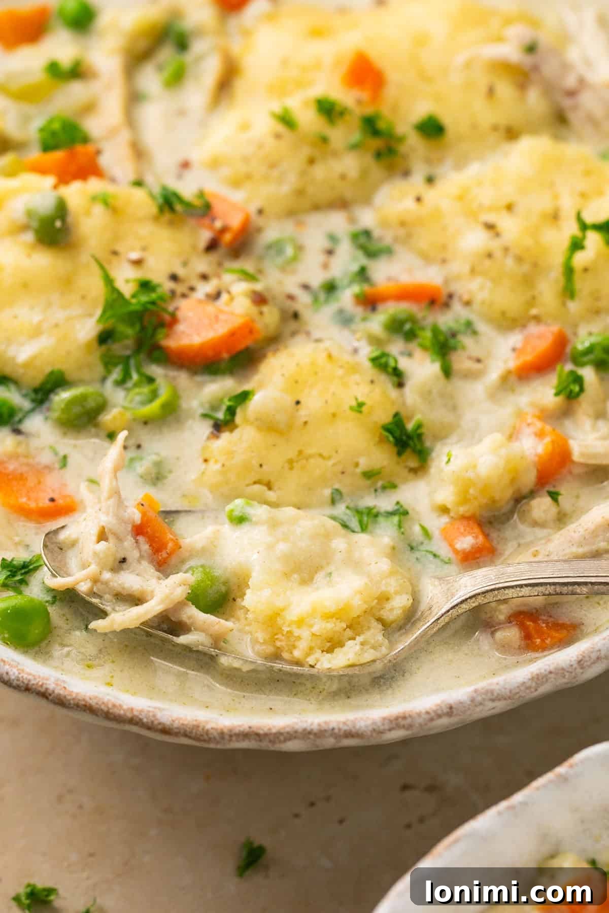 Effortless Gluten Free Chicken and Dumplings 9 A close-up shot of a single bowl of gluten-free chicken and dumplings, showing the texture of the chicken, vegetables, and dumplings.