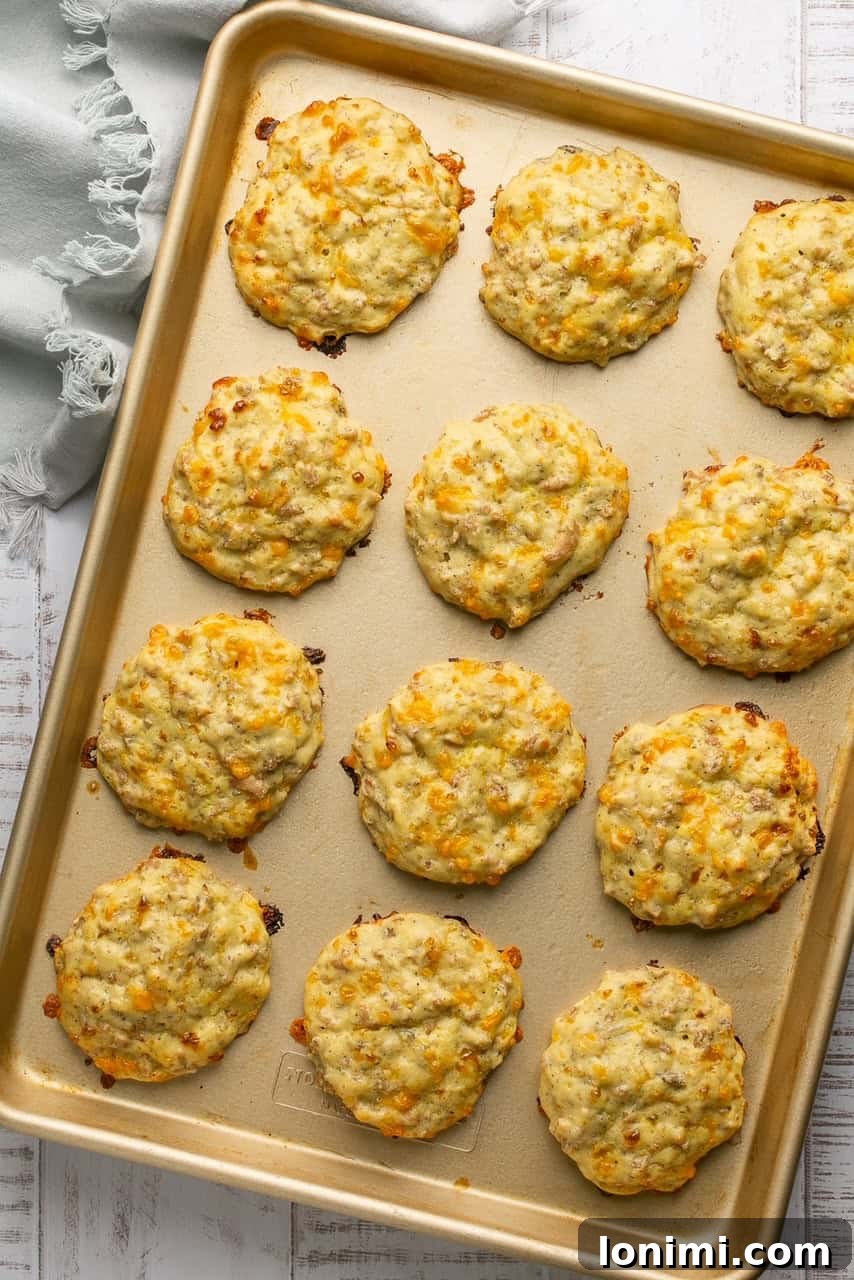 A baking sheet filled with freshly baked, golden-brown protein biscuits, straight out of the oven, highlighting their perfect rise and crispy edges.