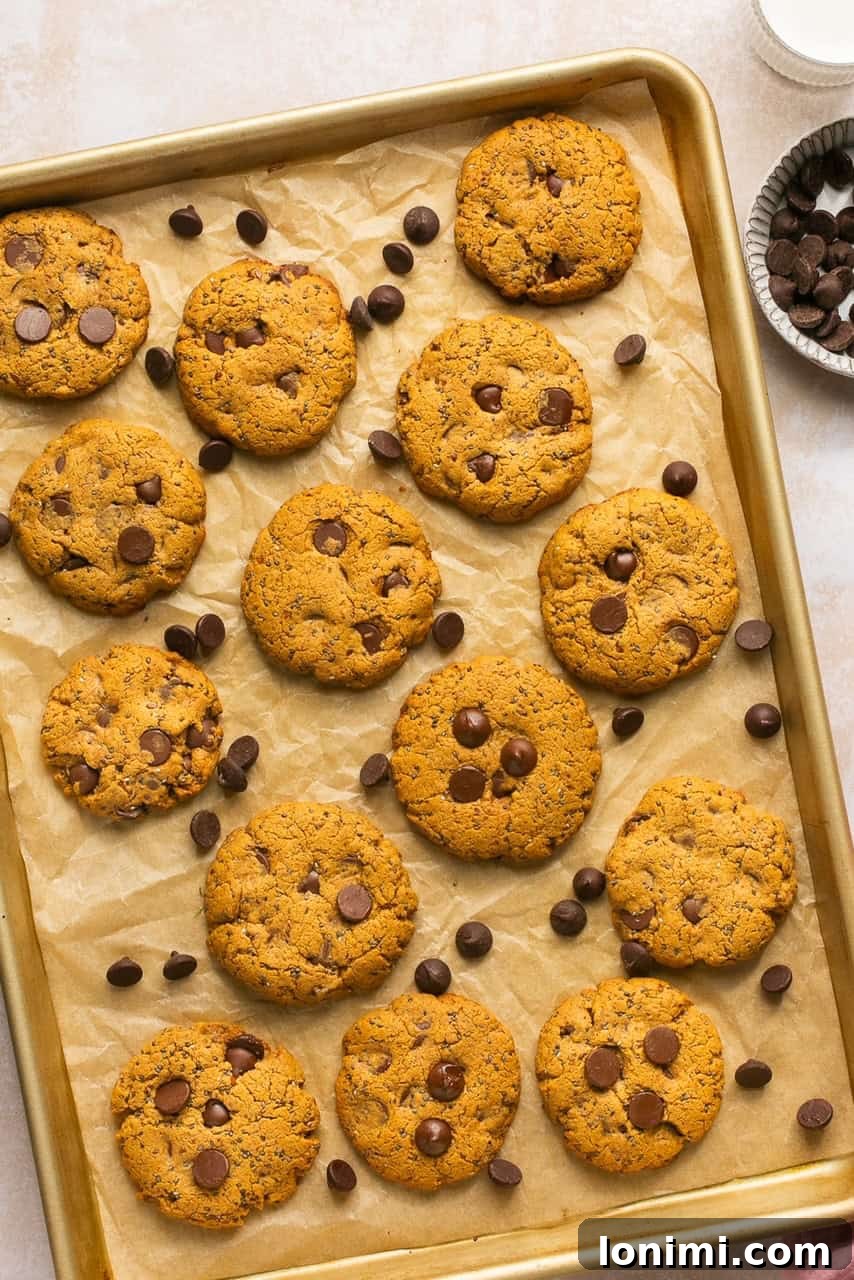 Irresistible Protein Peanut Butter Chocolate Chip Cookies 6 Freshly baked protein cookies cooling on a baking sheet lined with parchment paper.