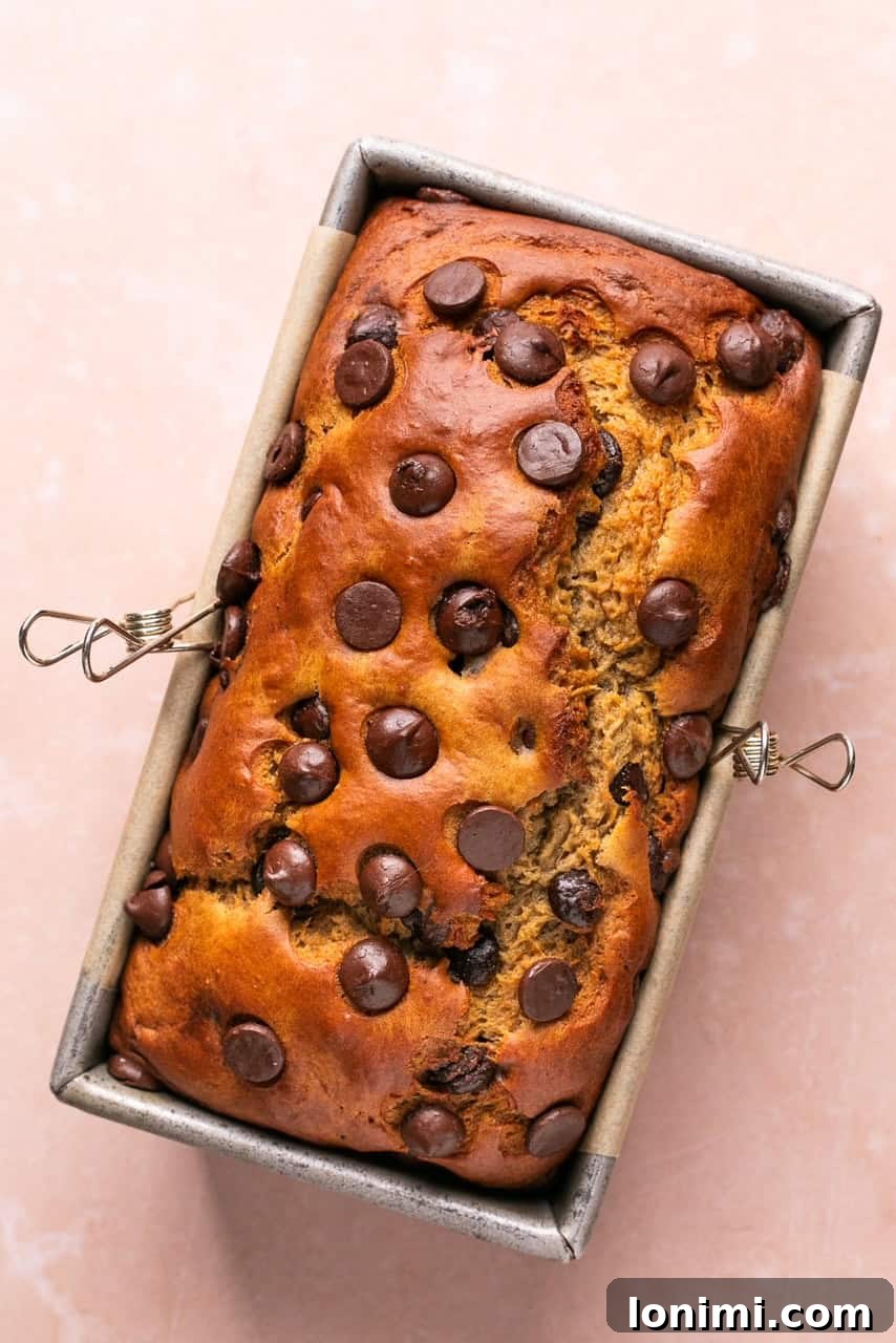 Baked protein banana bread in a loaf pan, perfectly golden brown and ready to cool.