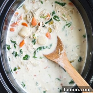 Paleo Chicken Gnocchi Soup