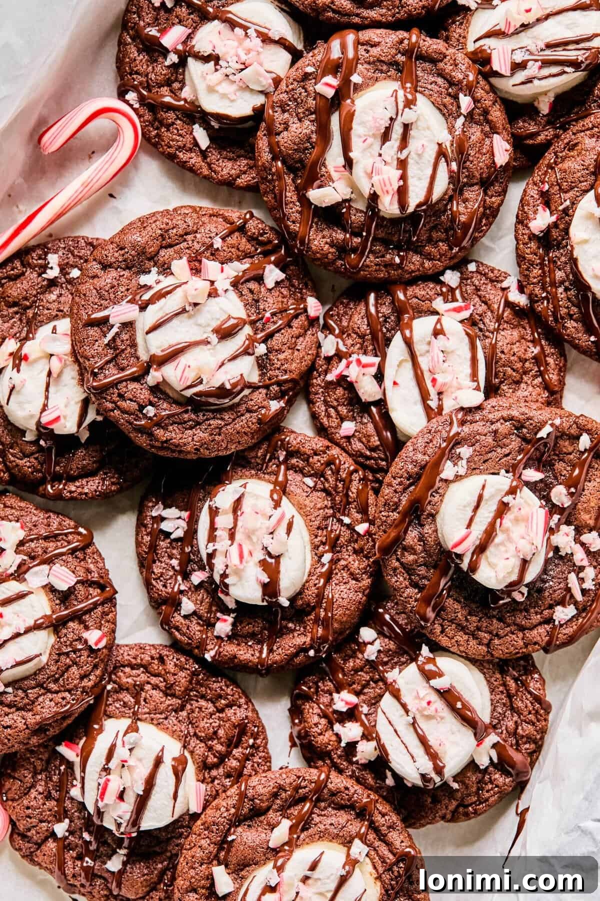 A batch of delightful gluten-free hot cocoa cookies stacked together on parchment paper, adorned with a decadent chocolate drizzle and vibrant crushed candy canes.