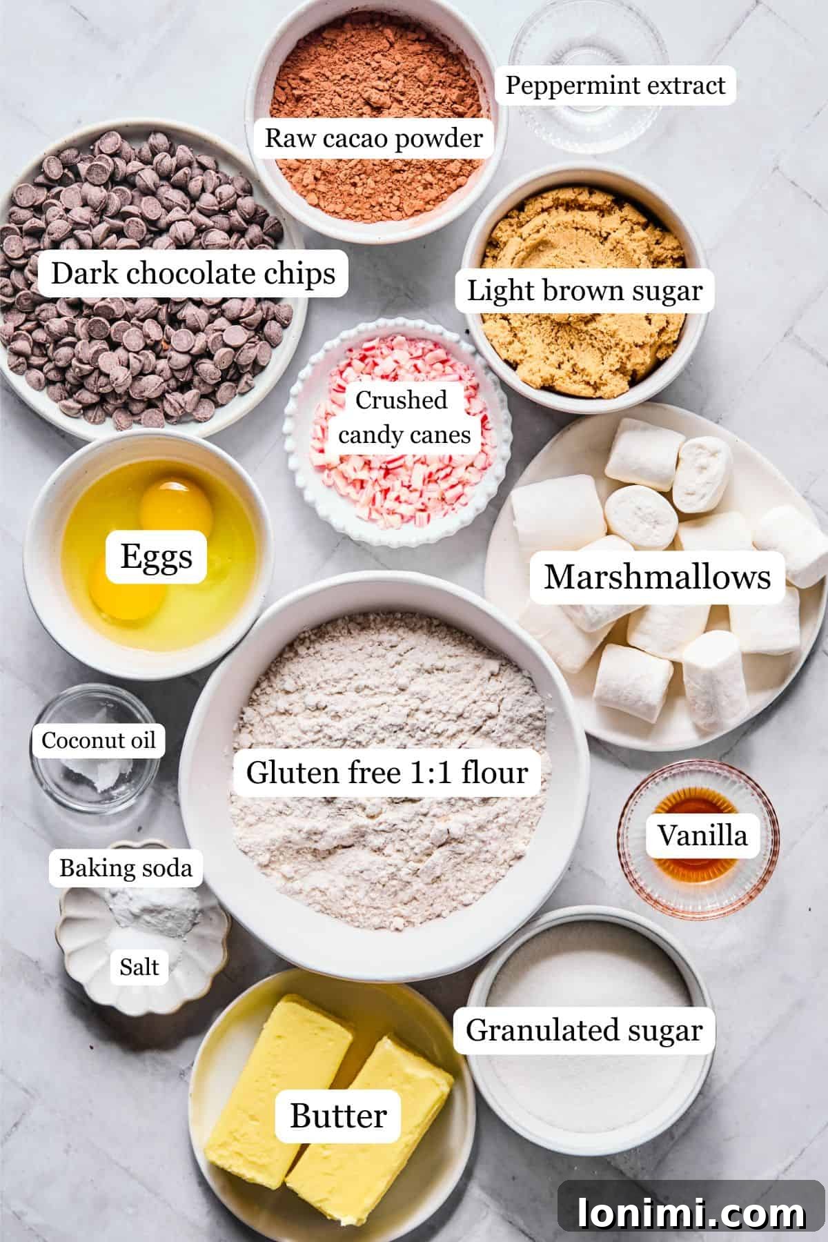 All the ingredients for gluten-free hot cocoa cookies meticulously laid out and clearly labeled on a clean white countertop, ready for baking.