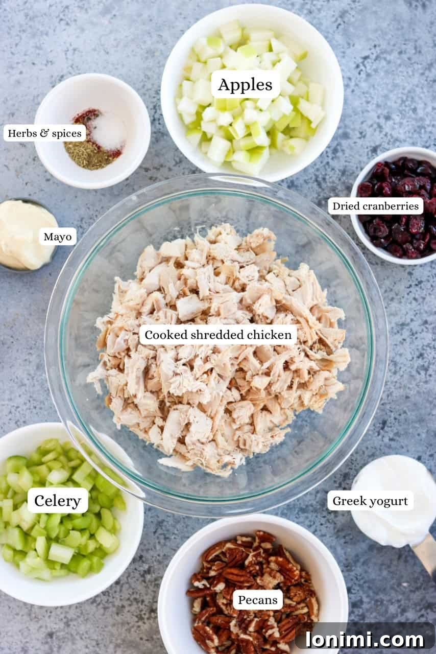 Individual ingredients for cranberry pecan chicken salad in small nesting bowls, ready for mixing.
