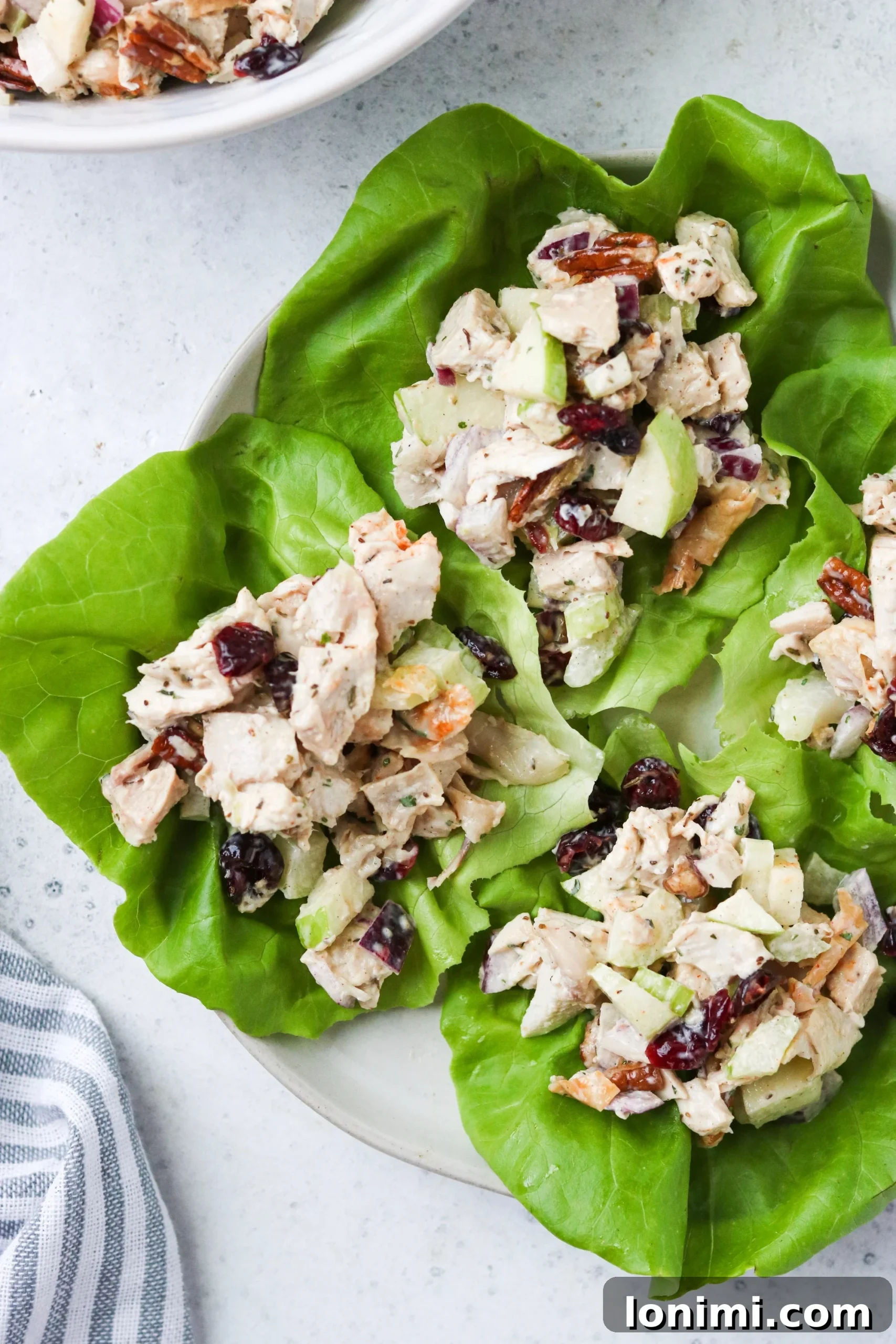 Cranberry pecan chicken salad beautifully arranged on fresh lettuce cups, ready to be served.