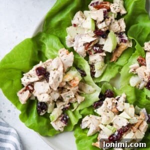 A bowl of high-protein cranberry pecan chicken salad.