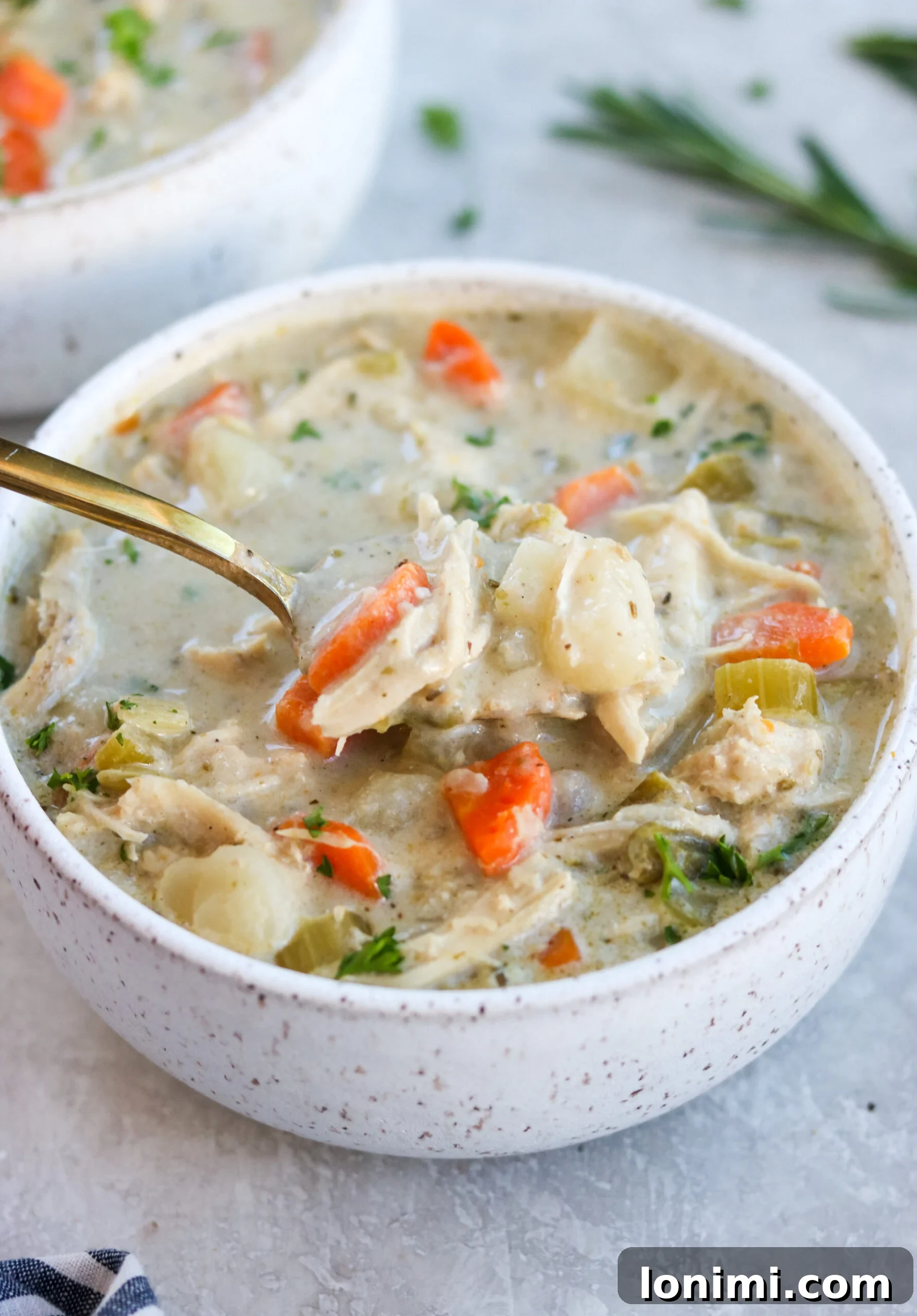 A spoonful of paleo chicken pot pie soup