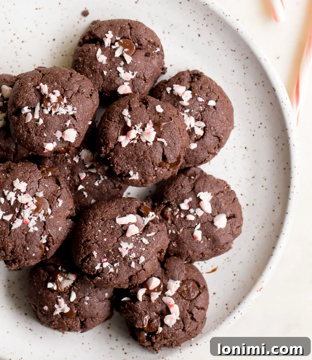Stack of rich Double Chocolate Mint Cookies, with a dusting of powdered sugar, ideal for a paleo holiday treat.