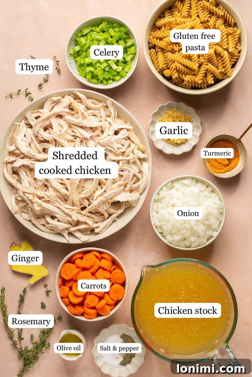 A visual display of fresh ingredients for gluten-free chicken soup, including a whole chicken, ginger, herbs, turmeric, carrots, onions, celery, and bay leaves arranged in small bowls.