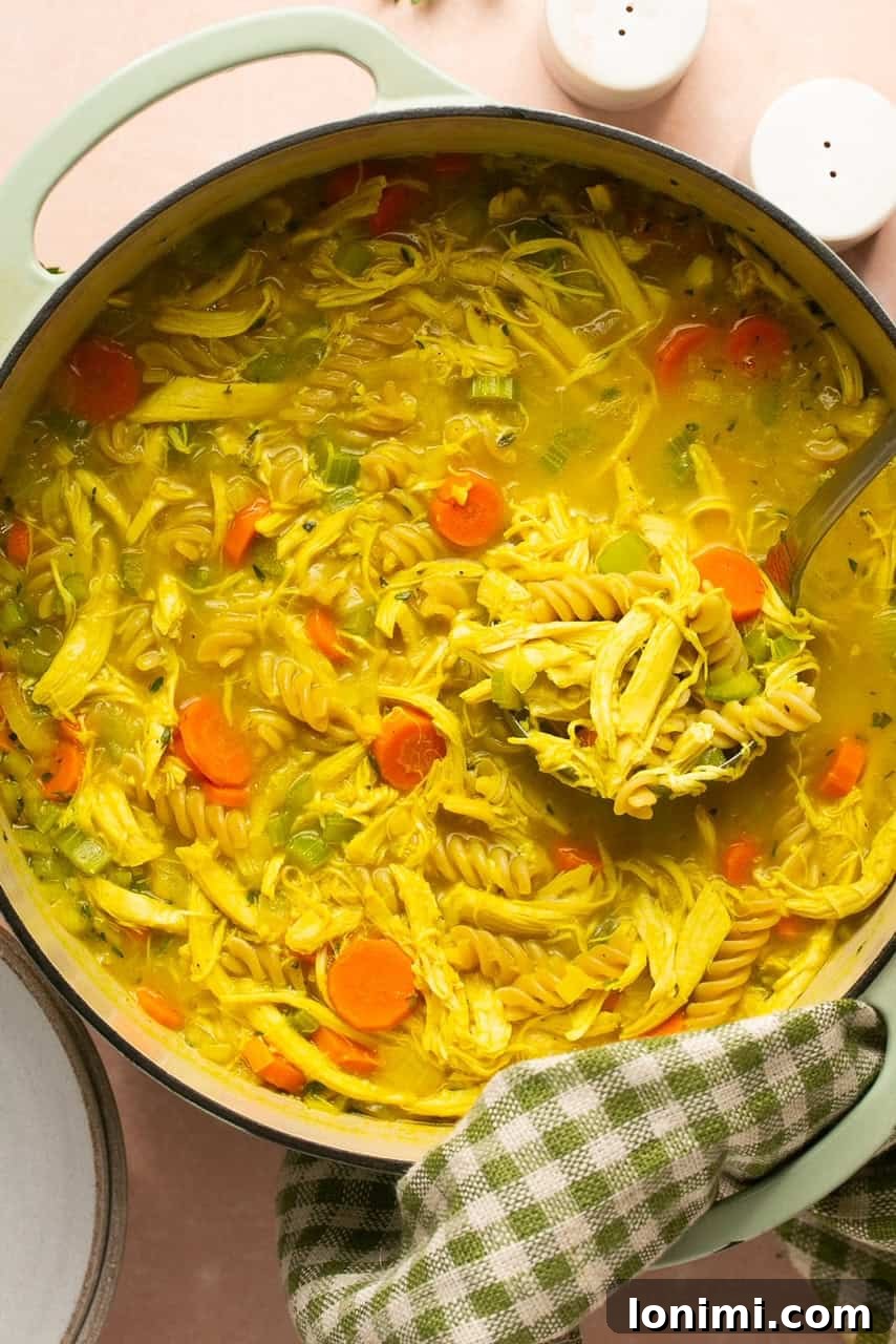 A large stockpot filled with bubbling gluten-free chicken soup, ready to be served.