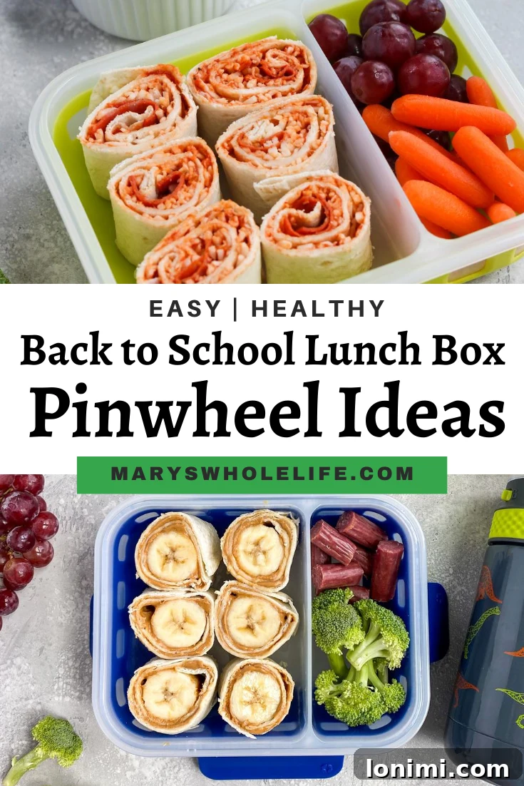 Overhead view of a prepared Ello Sammie lunchbox filled with pinwheels and healthy sides