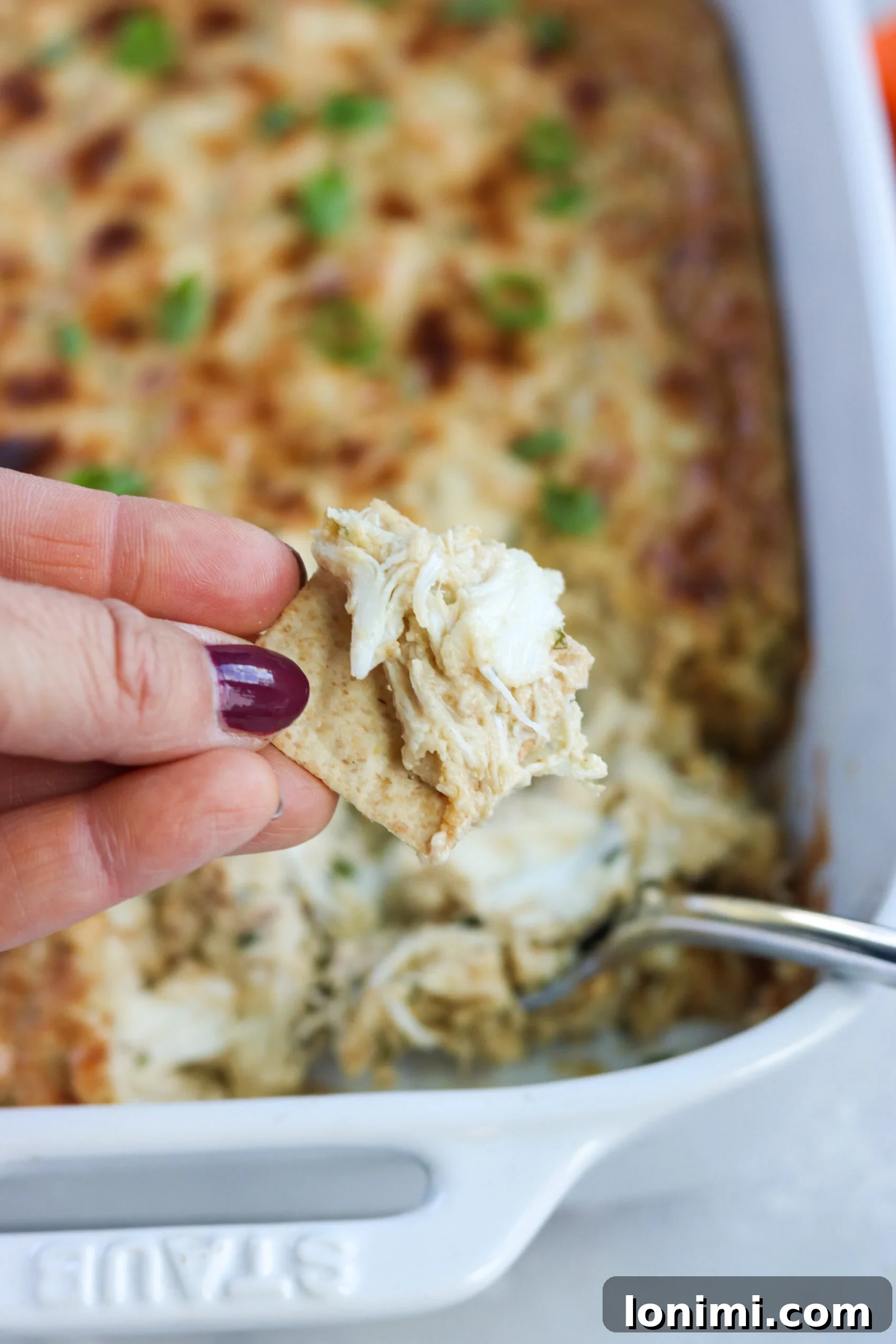 Grain-Free Chesapeake Crab Dip 5 Paleo Crab Dip with Veggies