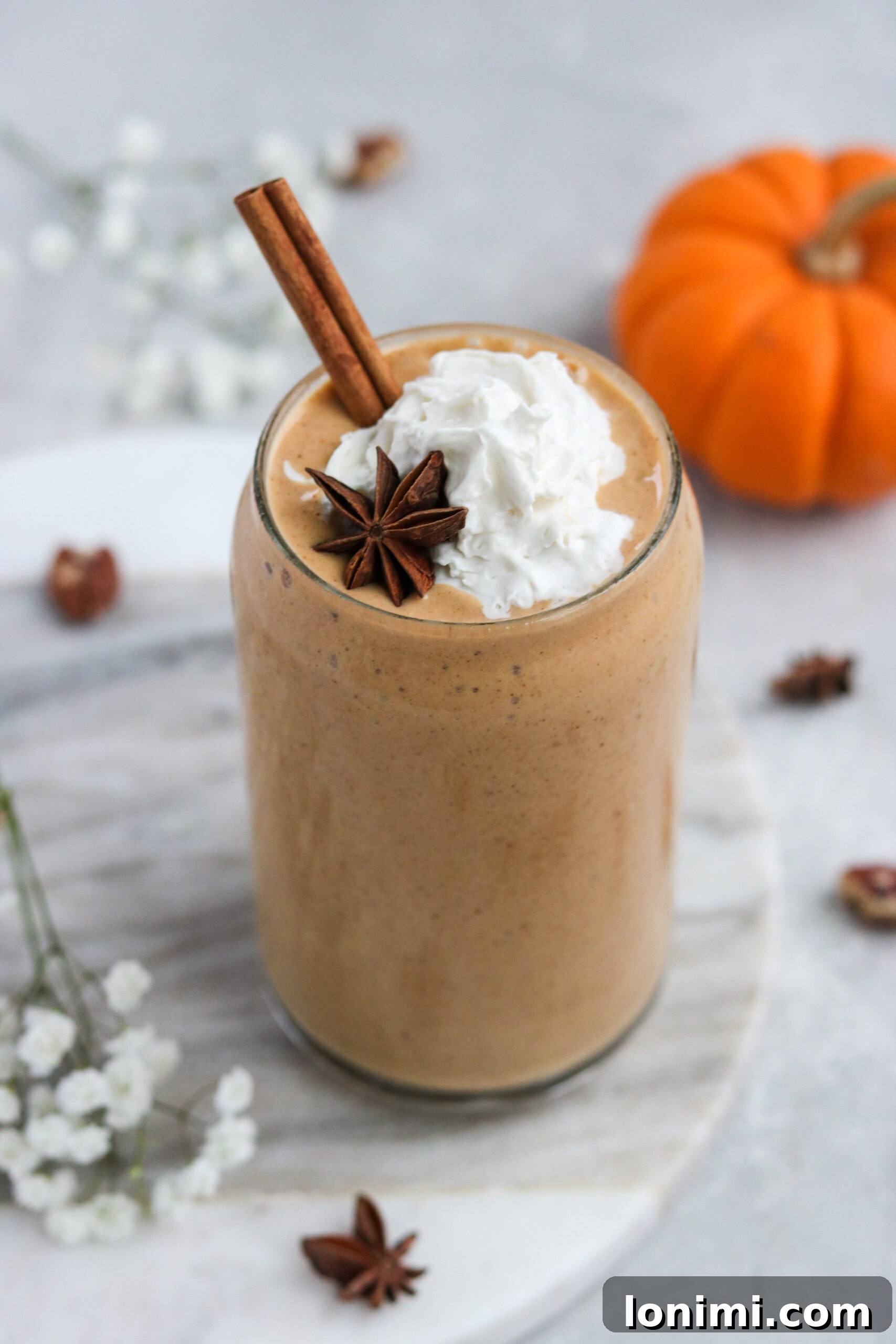 Paleo Pumpkin Pie Smoothie - Healthy Fall Drink