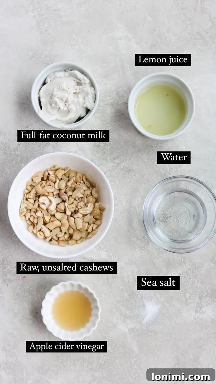 all the ingredients needed for the dairy free sour cream recipe