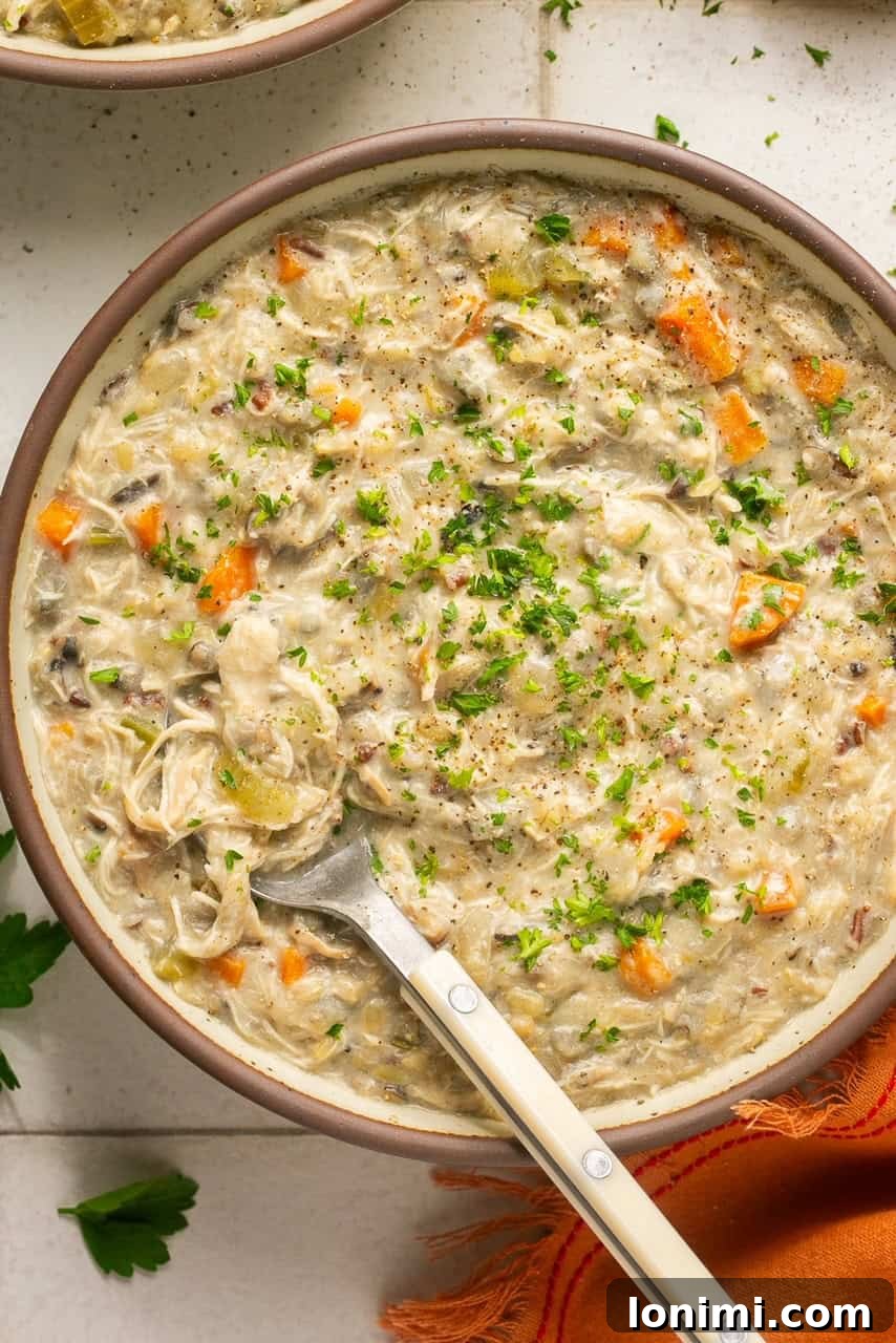 Your Favorite Panera Chicken and Wild Rice Soup Made Gluten Free 2 A large bowl of creamy, dairy-free, and gluten-free chicken and wild rice soup, garnished with fresh parsley and a spoon resting inside.
