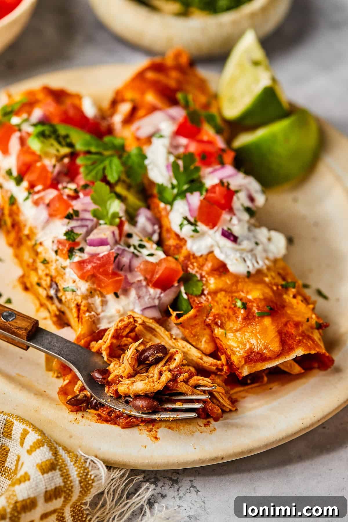 Weeknight Chicken and Black Bean Enchiladas 12 A mouthwatering close-up of chicken and black bean enchiladas, richly topped with fresh salsa, sour cream, and vibrant cilantro, showcasing their delicious appeal.