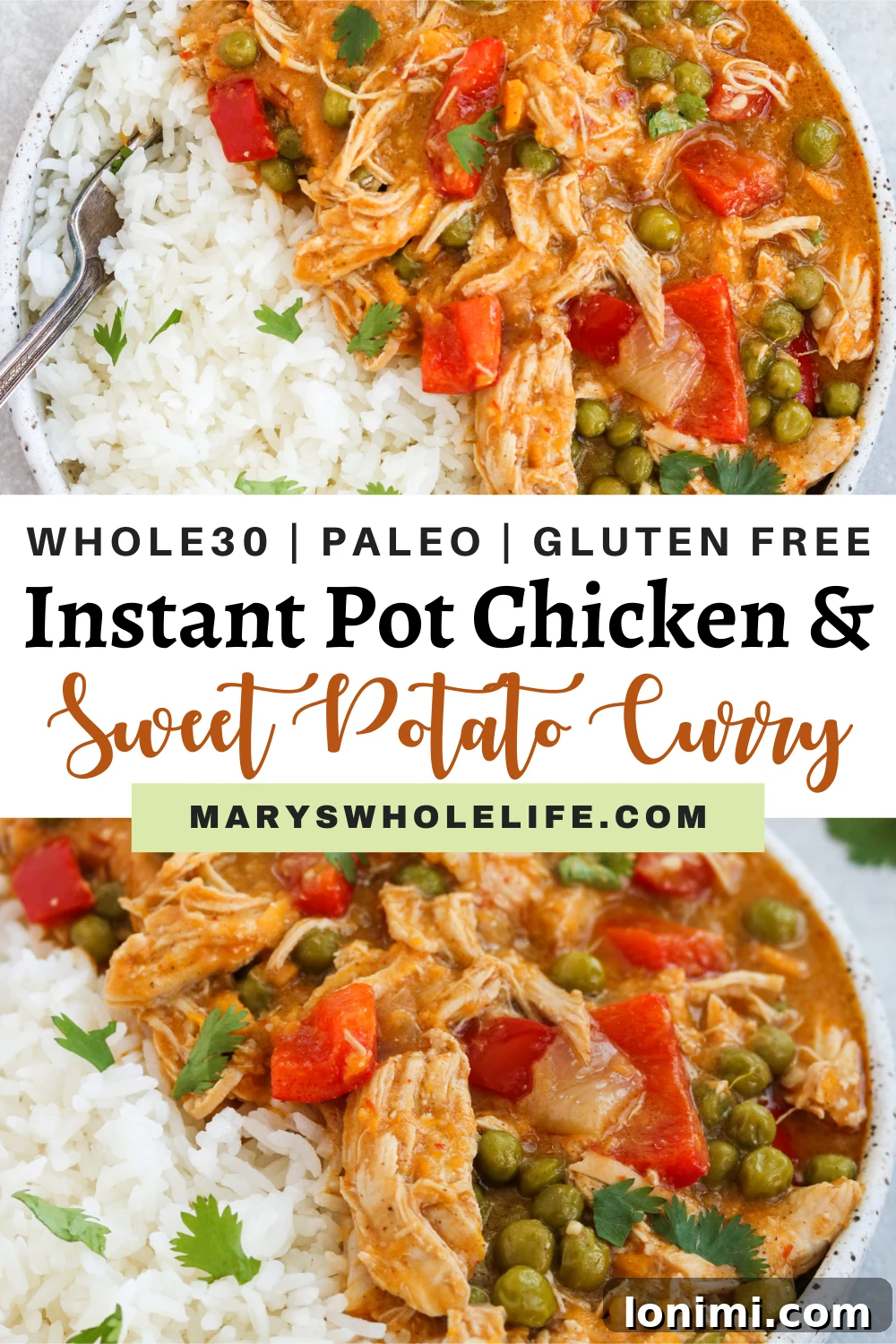 Gourmet Instant Pot Chicken Curry A beautifully styled flat lay of Instant Pot Chicken and Sweet Potato Curry with rice and fresh herbs, perfect for a blog post header.