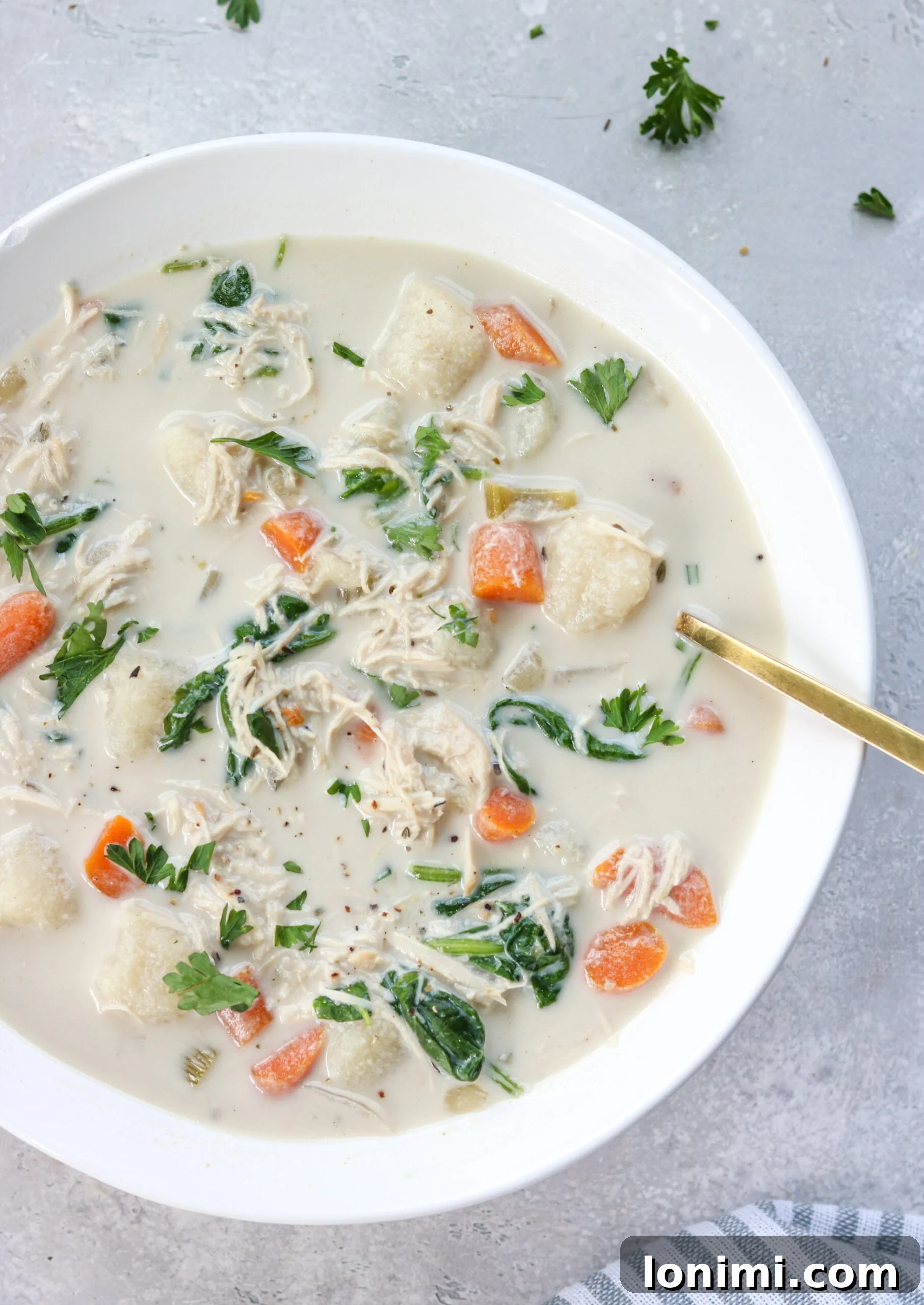 Gluten-Free Dairy-Free Chicken Soup Recipes