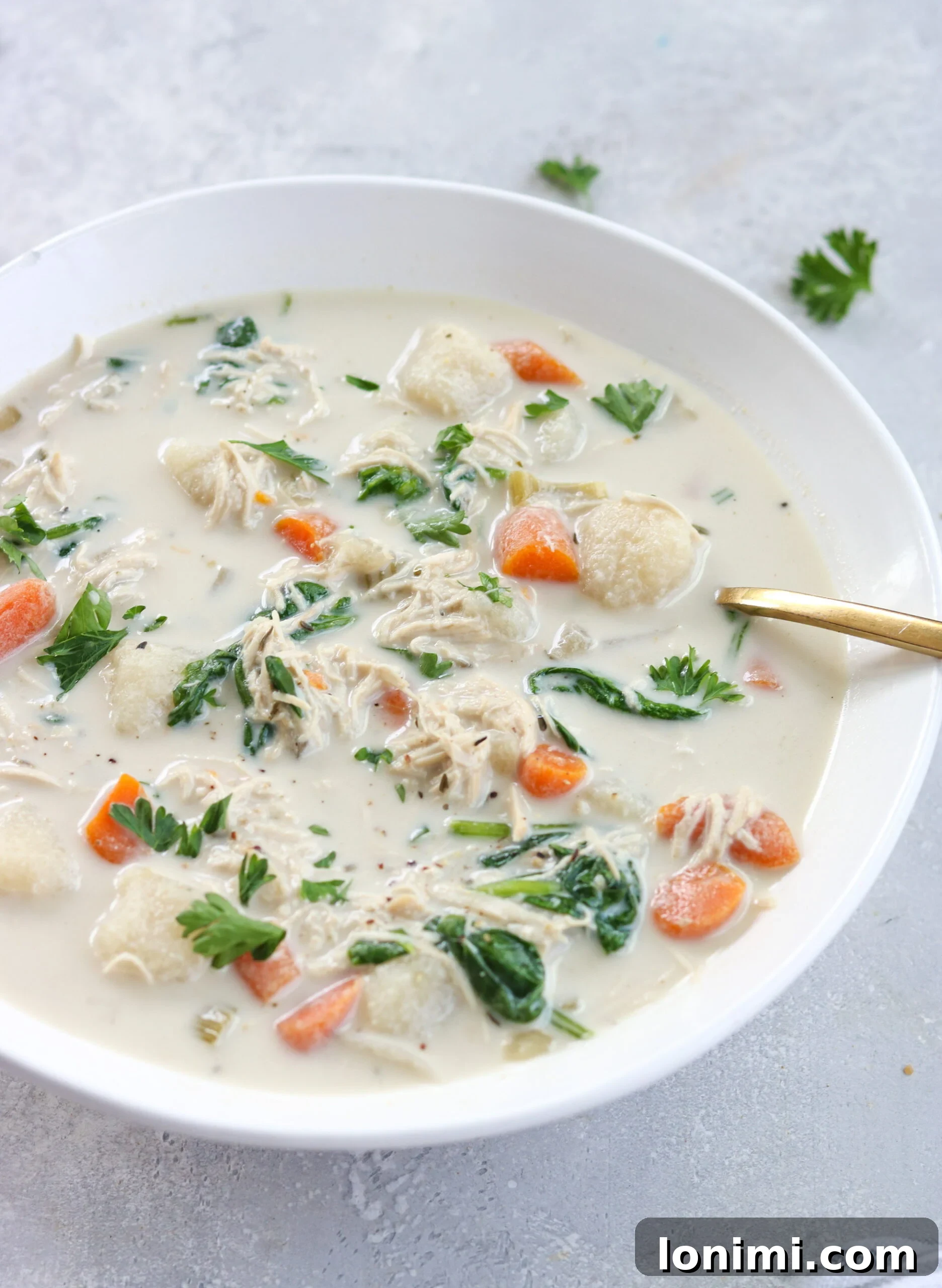 Delicious Slow Cooker Chicken Gnocchi Soup