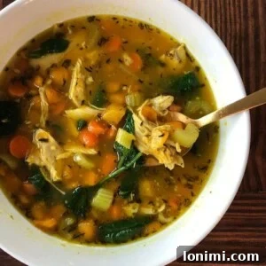 Close-up of Quick Homemade Chicken Soup ingredients and texture.